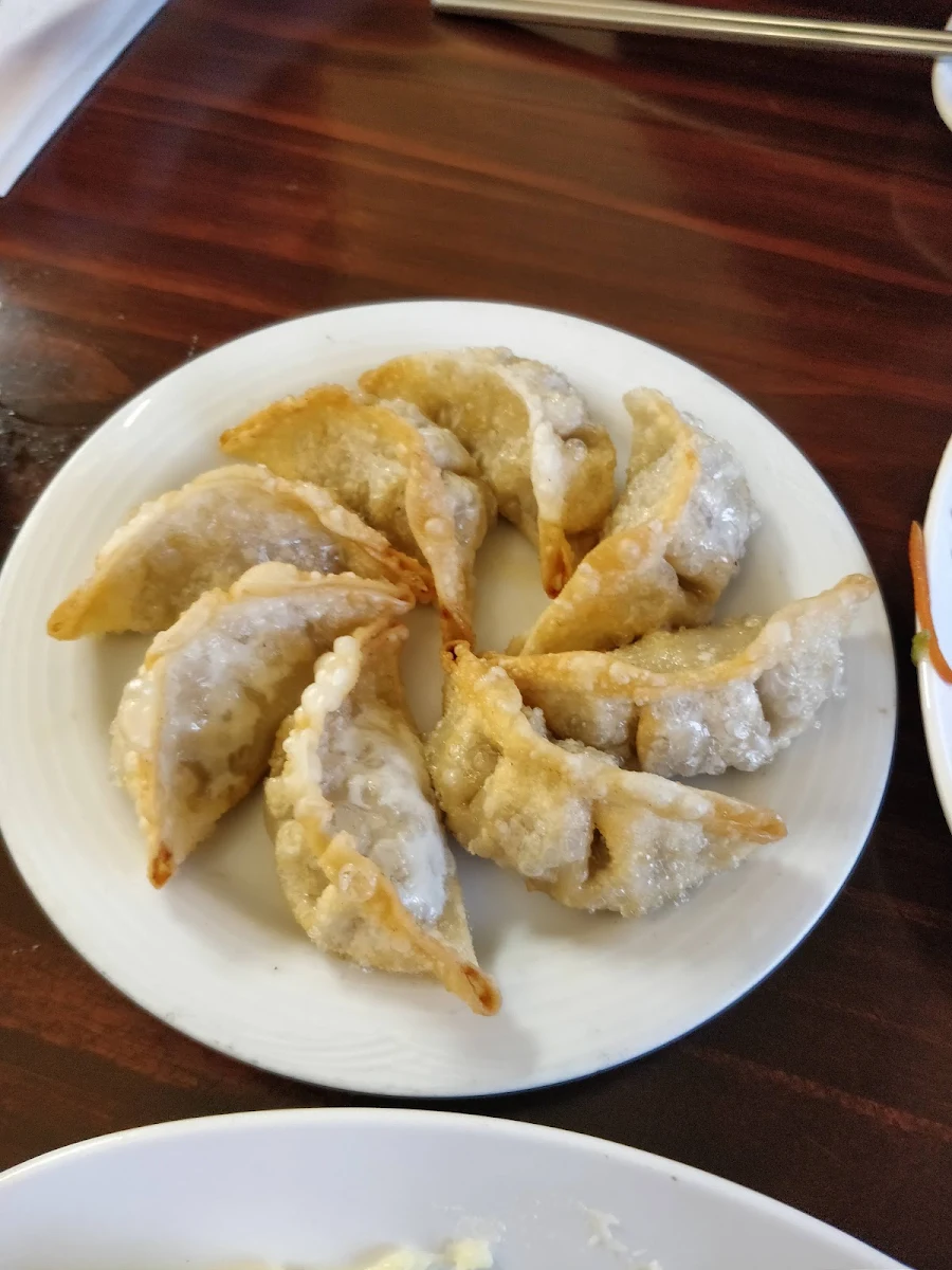 Dumpling 군만두 炸饺子